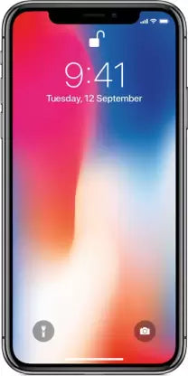 Apple iPhone X Unlocked